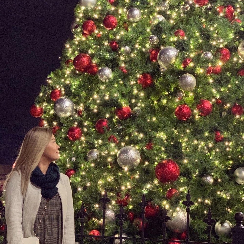 Meet your Posher, Hân